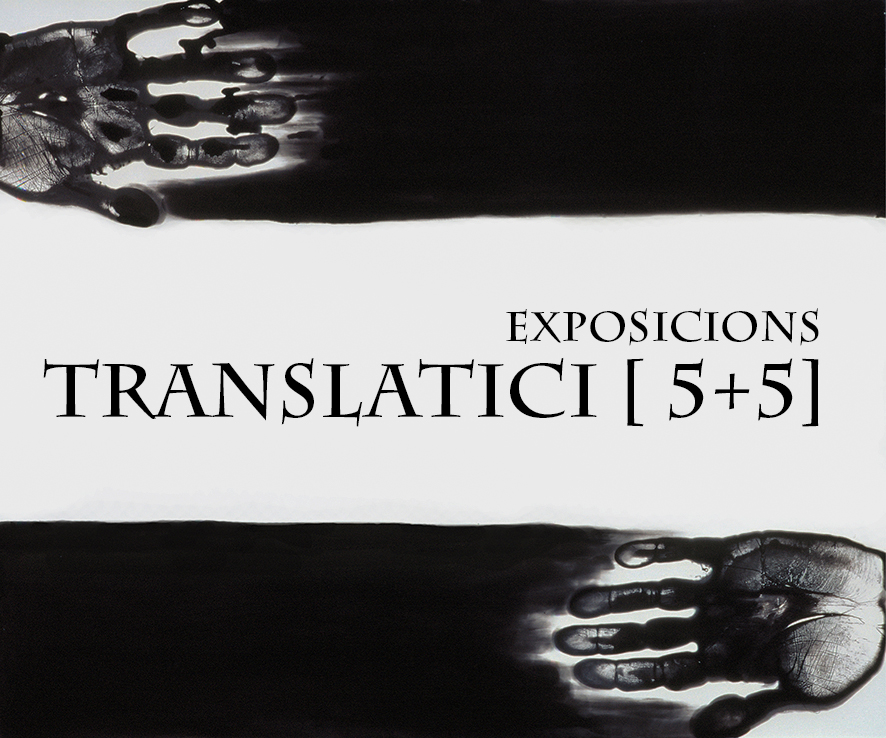 EXPOSICIONS TRANSLATICI